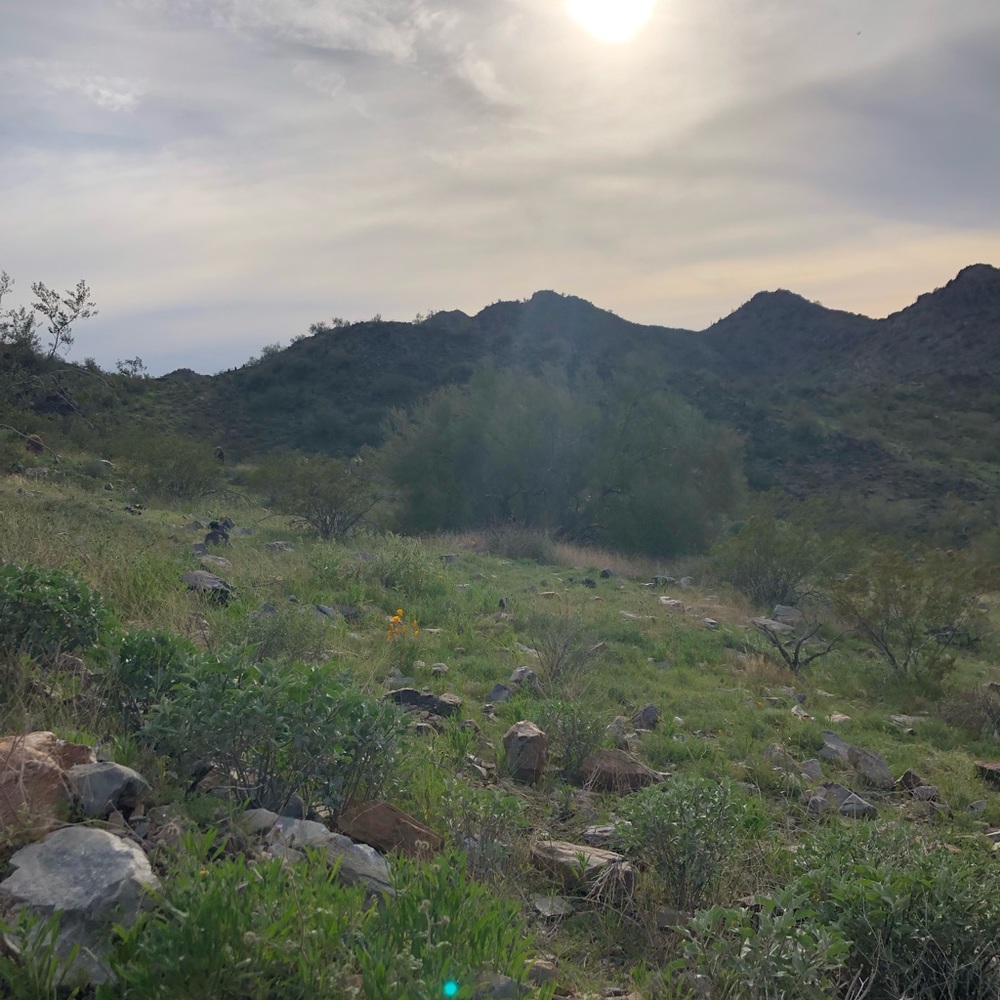 Welcome 🍵 - Picture 3 of 3